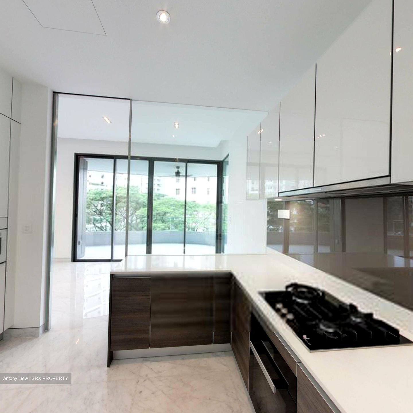 New Futura (D9), Condominium #426263571